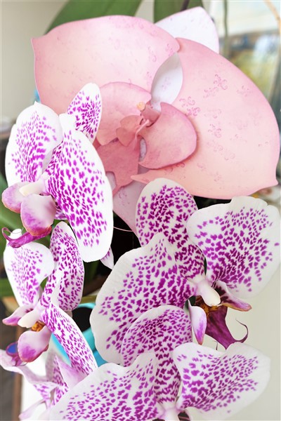 Darina's Crafts 3D_Orchid_Flower4  